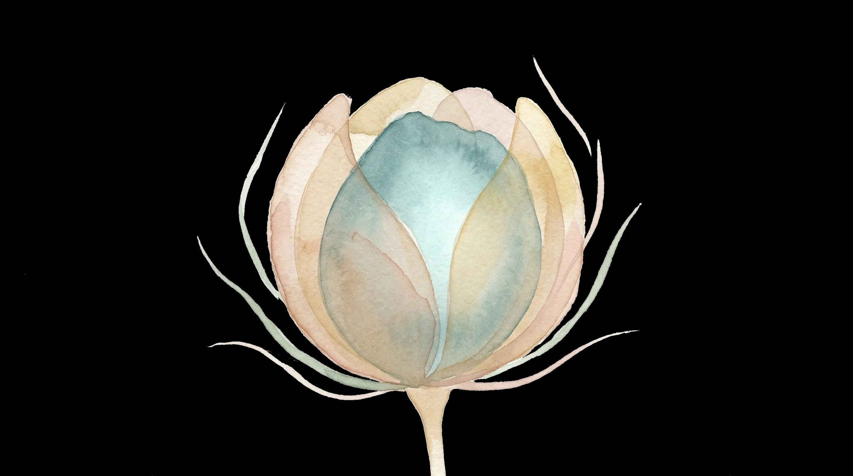 Ilustración acuarela de un capullo cerrado con pétalos translúcidos en tonos arena, rosa y verde azulado, representando la contención segura de emociones en EMDR